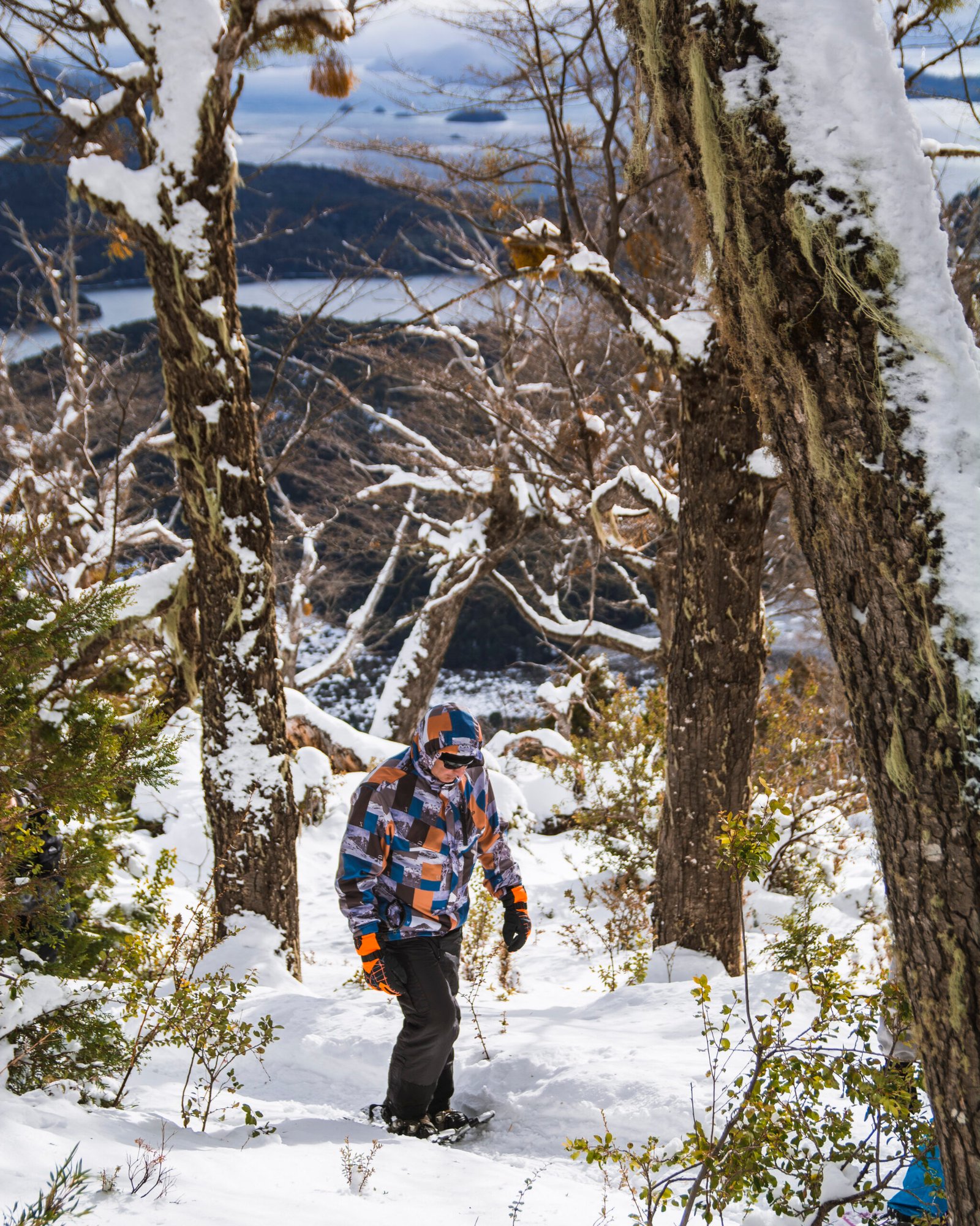 Refugio Extremo Encantado - Bosque - Lauke Tours