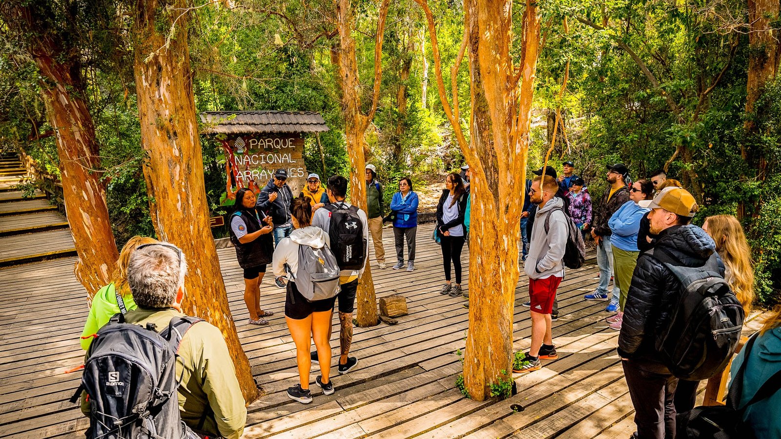 Bosque de Arrayanes - Lauke Tours