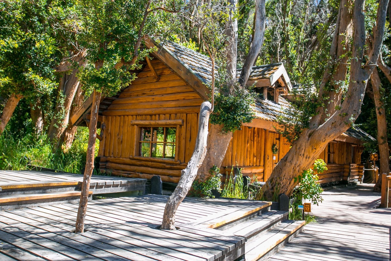 Bosque de Arrayanes - Lauke Tours