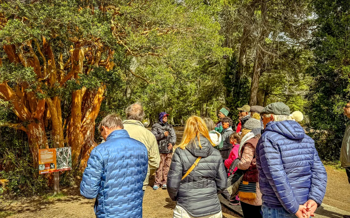 Descubre Angostura - Lauke Tours