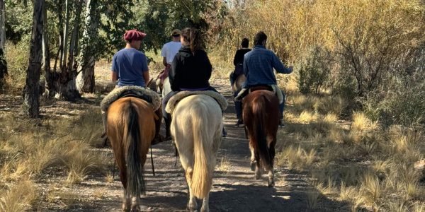 Cabalgata en Maipú - Paseo en caballo - Lauke Tours