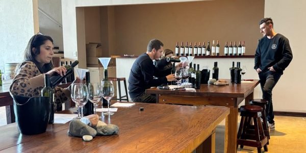 Vinos y Olivos - Blend de Vinos - Lauke Tours